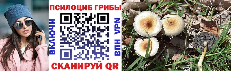 Псилоцибиновые грибы ЛСД Волжск