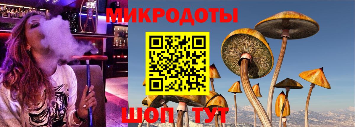 Псилоцибиновые грибы прущие грибы Волжск
