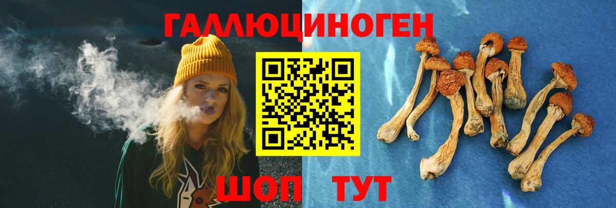 Галлюциногенные грибы Psilocybine cubensis  Вход с VPN  Волжск 