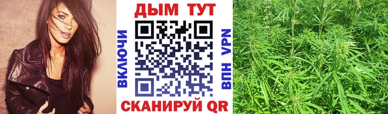 Канабис сатива  Волжск 